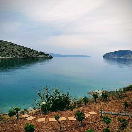 Kavoúsion Tholos Alexandra'S Beachfront House מראה חיצוני תמונה
