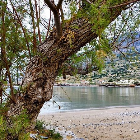 Kavoúsion Tholos Alexandra'S Beachfront House מראה חיצוני תמונה